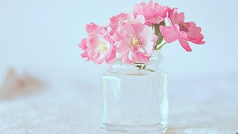 布雷斯特商学院工商管理硕士班课程特色有哪些？