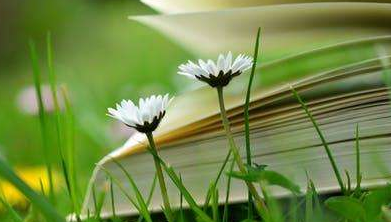 布雷斯特商学院工商管理硕士班的入学条件是怎样的？