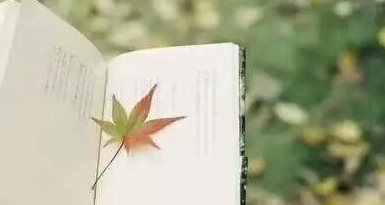 法国布雷斯特商学院工商管理硕士班有哪些权威认证？