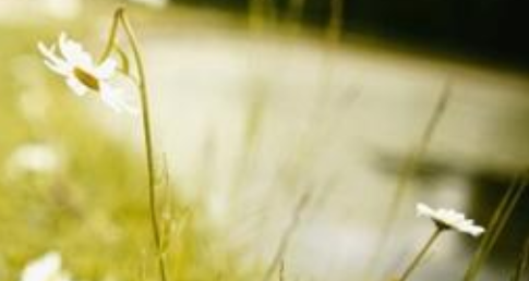 比利时列日大学 HEC 列日高商管理学院有哪些资质？