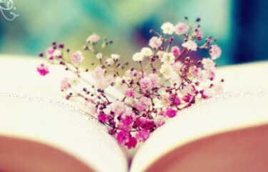 列日大学排名如何？