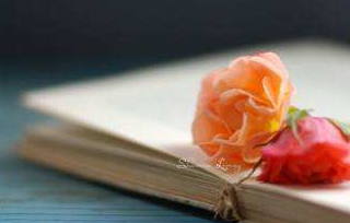 对外经贸EMBA录取班报考指南