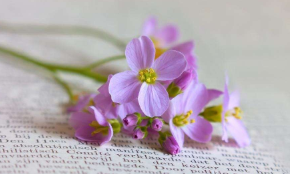 哪些学员适合报考国医传承学堂？