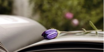 为什么要报考《周易》文化与实战应用班？