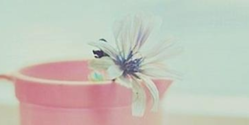 《周易》文化与实战应用班有哪些特色?