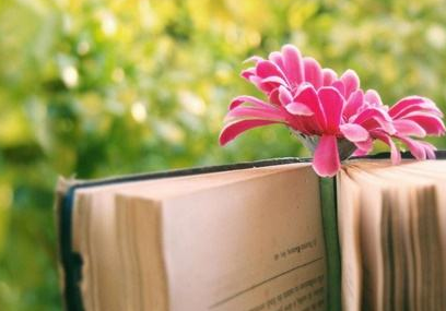 华东理工中外合作办学工商管理硕士项目有啥特色？