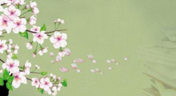 经济与管理学院高级工商管理培训班带给学员哪些收益？