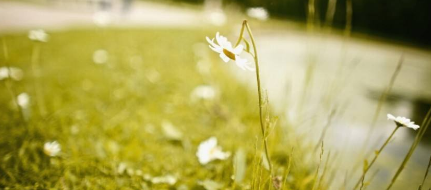 新思维工商管理EMBA班有哪些特色？