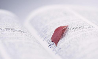 渤海大学文学课程研修班招生条件有哪些？