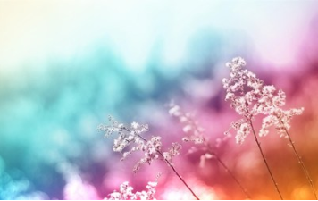 渤海大学在职研究生要怎么考？