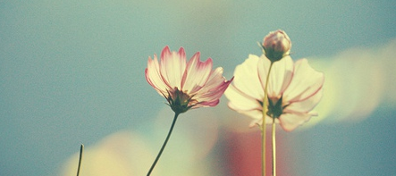 澳门科技大学EMBA课程师资力量如何？