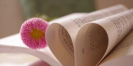 学员报考澳门科技大学EMBA能获得什么证书？