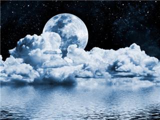 报考在职博士要满足的要求有哪些？