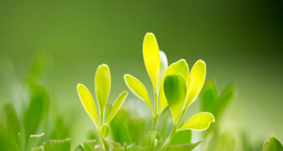 报考在职博士对于在职人员条件高吗？