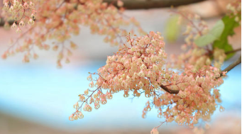 营销创新与新媒体运营班有哪些价值？