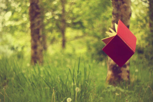 2020年在职博士国家取消了吗？