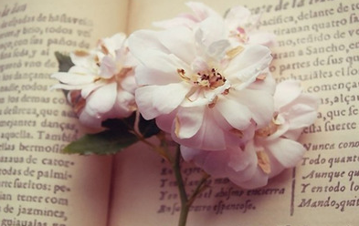 是什么原因使得学员选择免联考MBA？