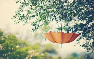 北大中国文化与经典班课程特色如何?