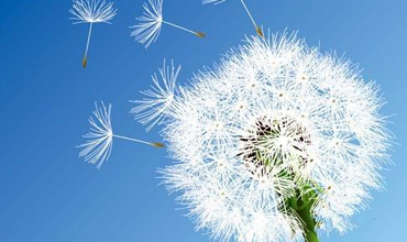 经营方略总裁高级研修课程有什么特色？