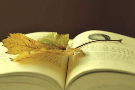 同等学力在职博士报名有哪些条件？