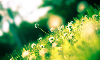 2020在职研究生有双证吗？