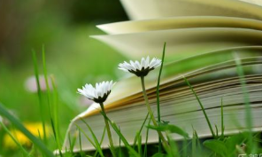 上海总裁班哪家好？