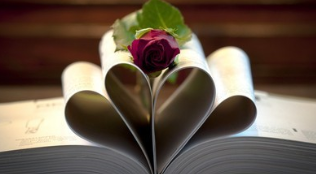 西安交通大学研修班有哪些专业?