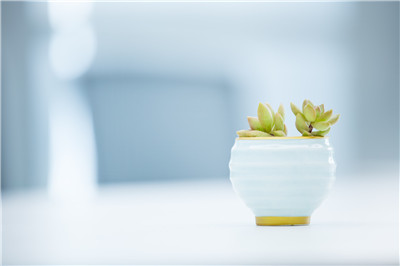 在职博士教育能获得双证吗？