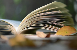 在职博士研究生报考条件2020年 最新发布