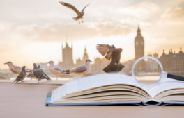 报名廊坊在职研究生招生院校多吗?都有哪些?