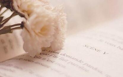 社科院在职博士怎么上课？