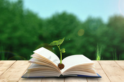 在职研究生可以作为第一学历吗？