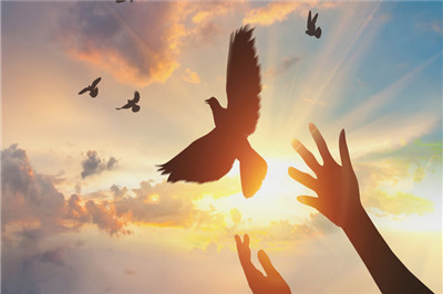 同等学力申硕的分数线是多少？