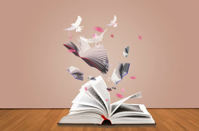 深圳培训班有哪些项目?