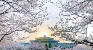 武大总裁班报名条件是什么?2021发布