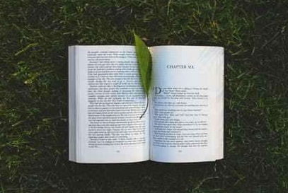 在职博士研究生2021报名条件是什么？