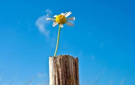 在职专科怎么报考在职研究生？