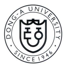 韩国东亚大学相当于中国哪所大学？