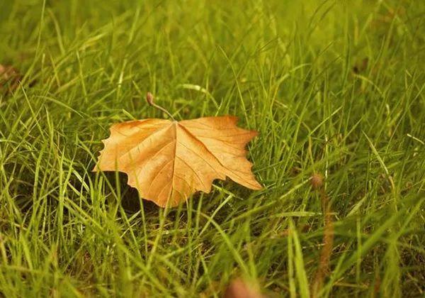 2021复旦大学智慧女性课堂开始报名啦！