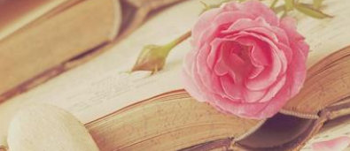 中国大学教育学专业排名