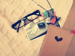 北京师范大学 博士招生目录2021