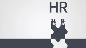 培训机构人力资源管理课程有哪些?