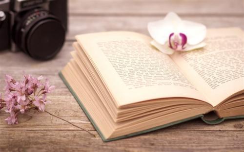 2021年西班牙瓦伦西亚理工大学世界排名怎么样？