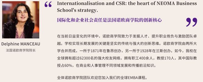 法国诺欧商学院高级工商管理硕士EMBA