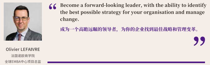 法国诺欧商学院高级工商管理硕士EMBA