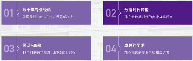 法国诺欧商学院高级工商管理硕士EMBA