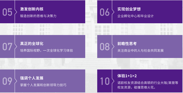 法国诺欧商学院高级工商管理硕士EMBA