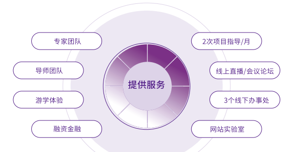 法国诺欧商学院高级工商管理硕士EMBA