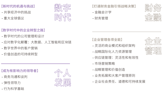 法国诺欧商学院高级工商管理硕士EMBA