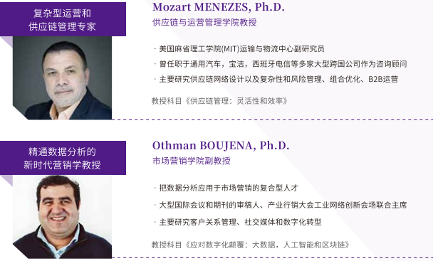 法国诺欧商学院高级工商管理硕士EMBA